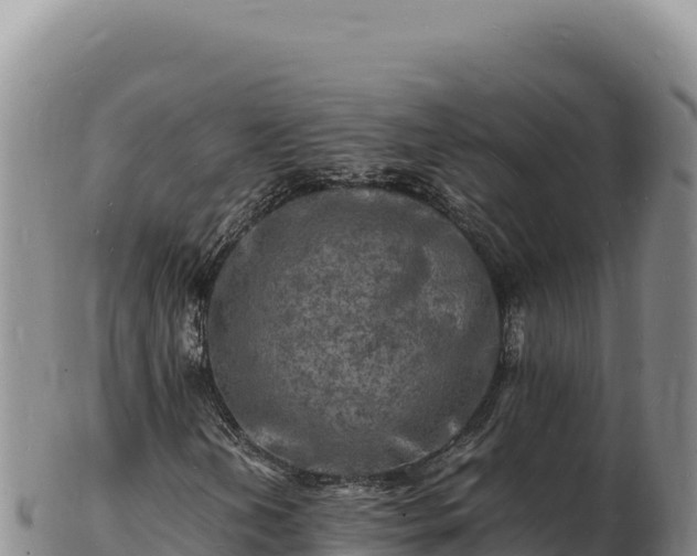 X0000103251202200809041101