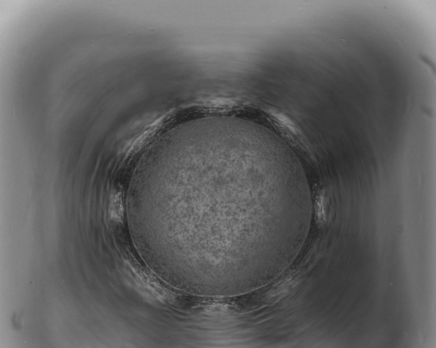 X0000103251204200809041101