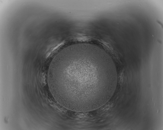 X0000103251205200809041101