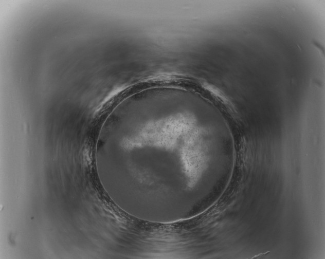 X0000103251206200809041101