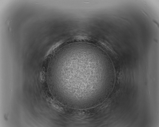 X0000103251207200809041101