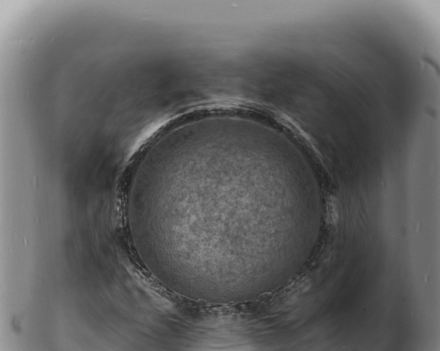 X0000103251208200809041101