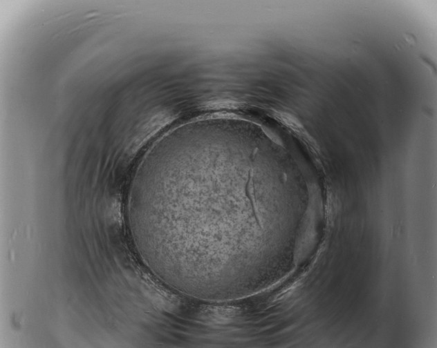 X0000103251209200809041101