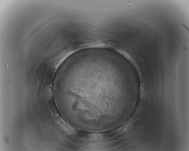 X0000103251212200809041101