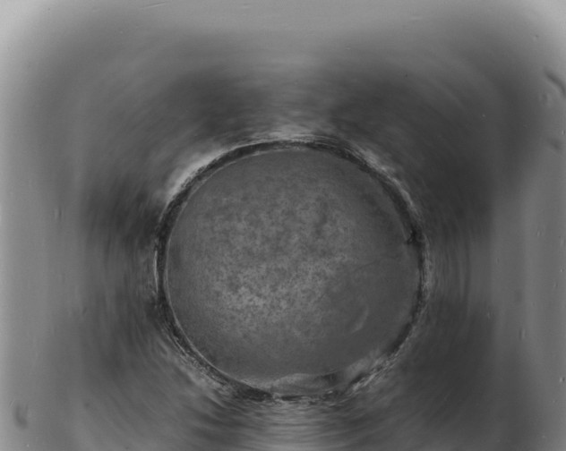 X0000103251214200809041101