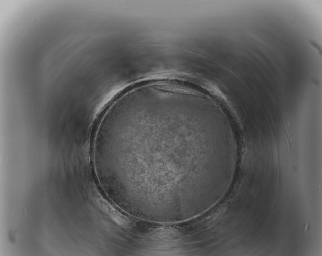 X0000103251216200809041101