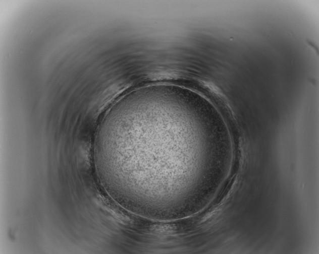 X0000103251217200809041101