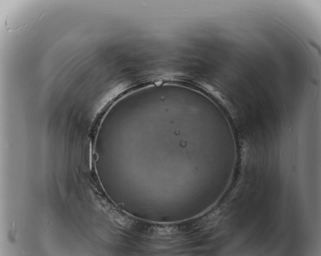 X0000103251219200809041101