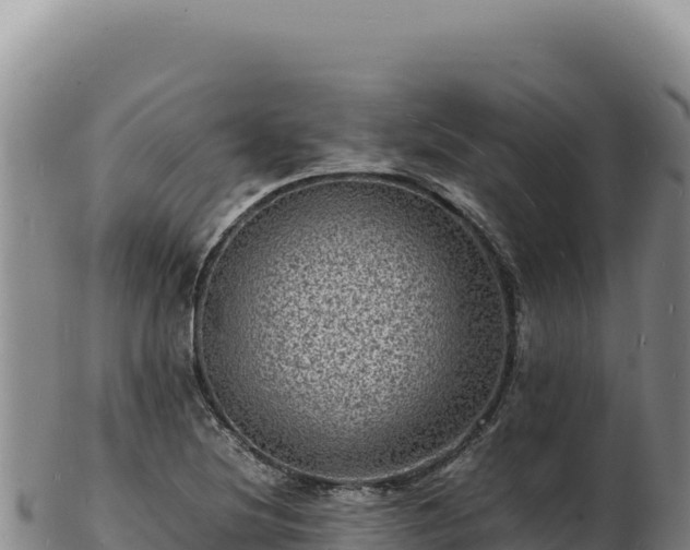 X0000103251220200809041101