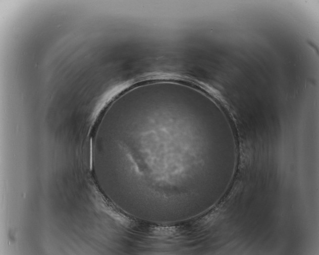 X0000103251223200809041101