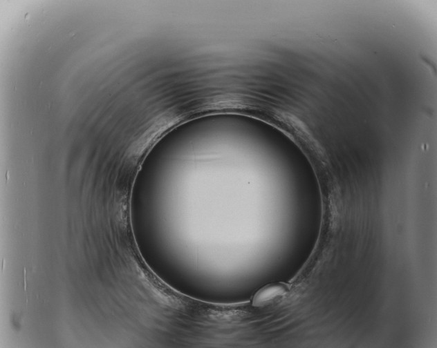 X0000103251225200809041102