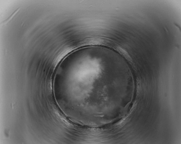 X0000103251226200809041102