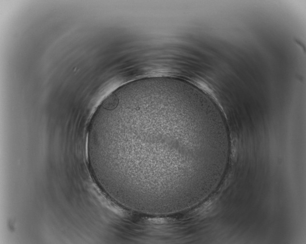X0000103251227200809041102