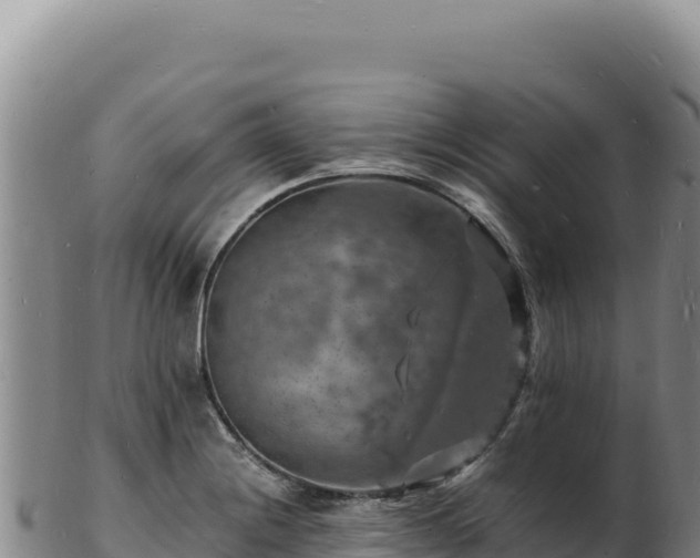 X0000103251228200809041102