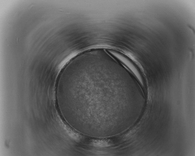 X0000103251229200809041102