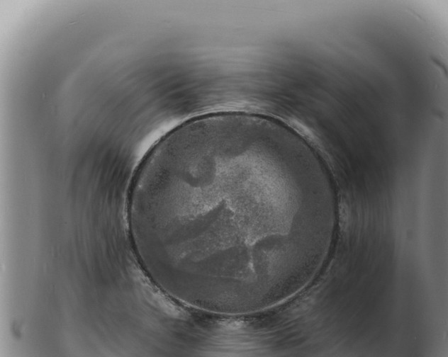 X0000103251230200809041102