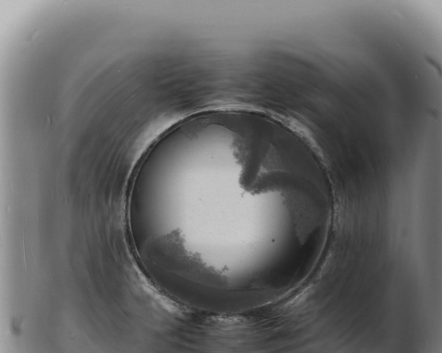 X0000103251231200809041102