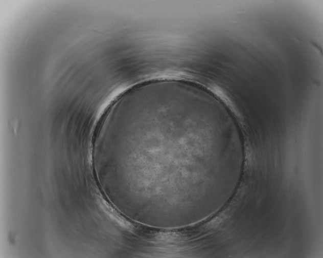X0000103251232200809041102