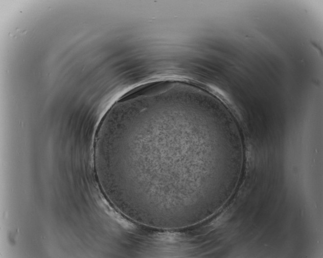 X0000103251236200809041102