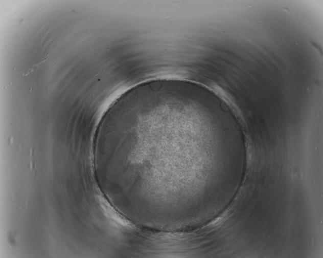 X0000103251240200809041102