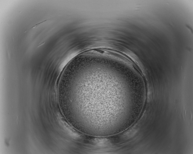 X0000103251242200809041102