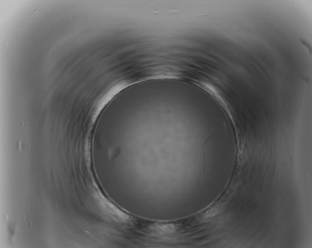 X0000103251243200809041102