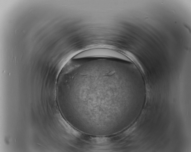 X0000103251244200809041102