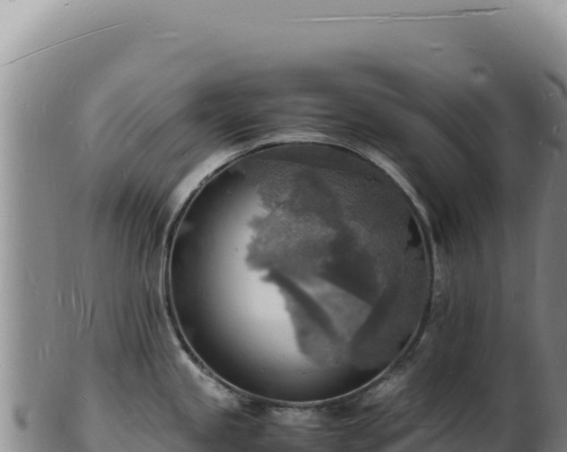 X0000103251245200809041102