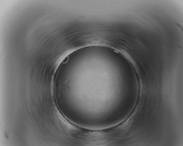 X0000103251246200809041102