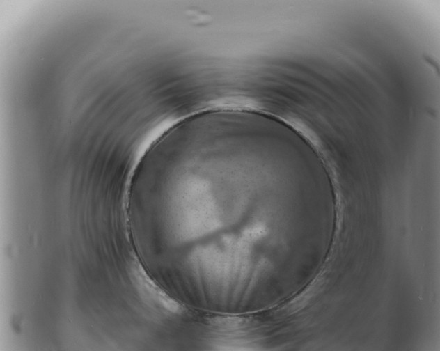X0000103251248200809041102