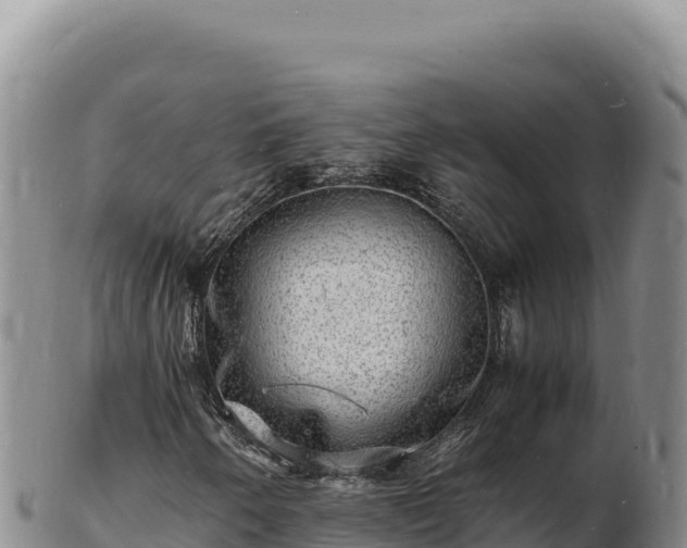 X0000103251250200809041101