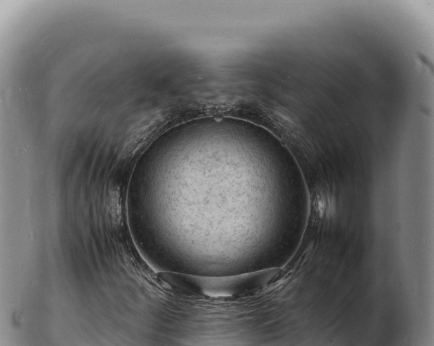 X0000103251252200809041101