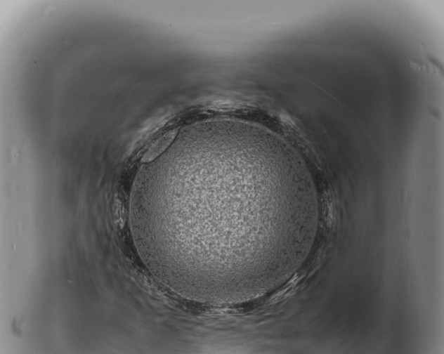X0000103251253200809041101