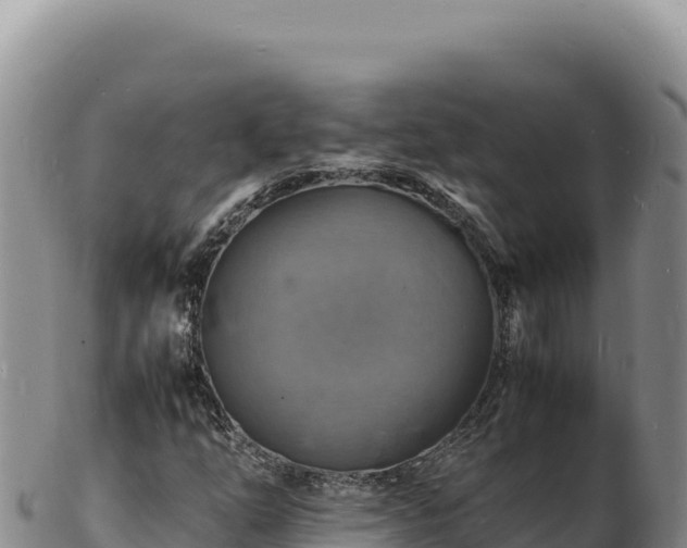 X0000103251254200809041101