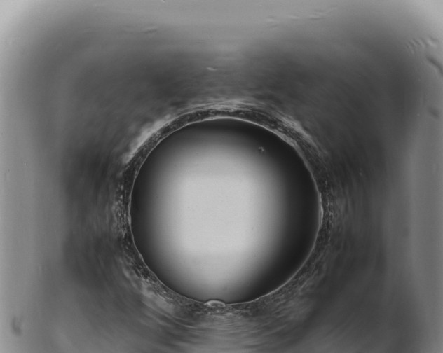 X0000103251256200809041101