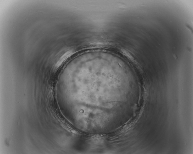 X0000103251259200809041101