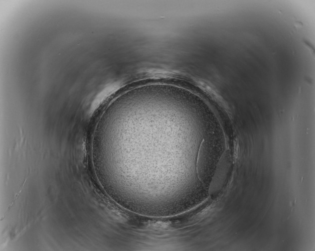 X0000103251261200809041101