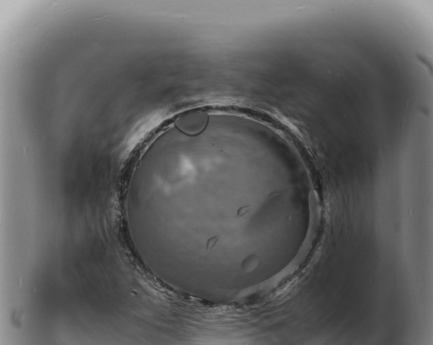 X0000103251263200809041101