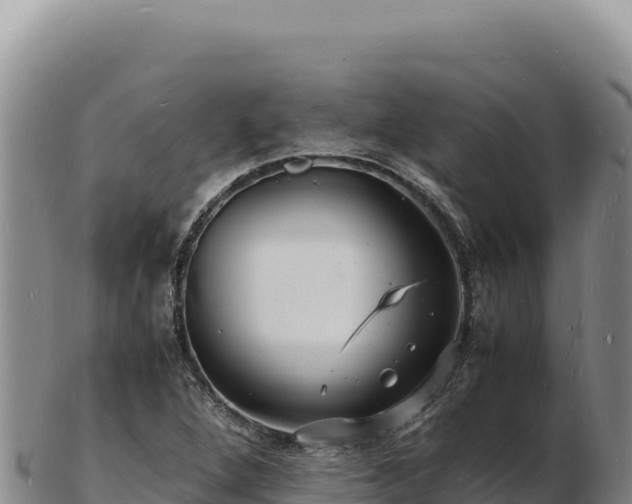 X0000103251264200809041101