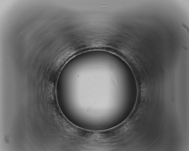 X0000103251265200809041101