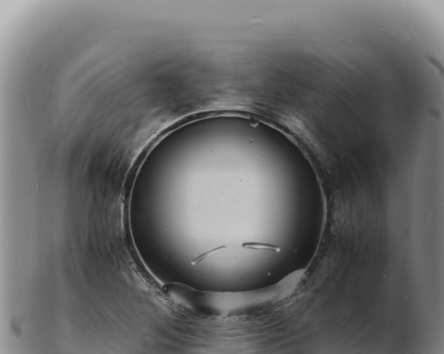 X0000103251268200809041101
