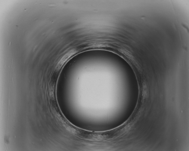 X0000103251273200809041101