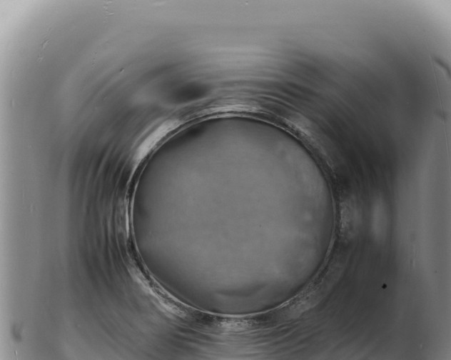 X0000103251274200809041101