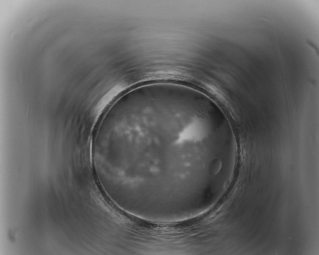 X0000103251275200809041101