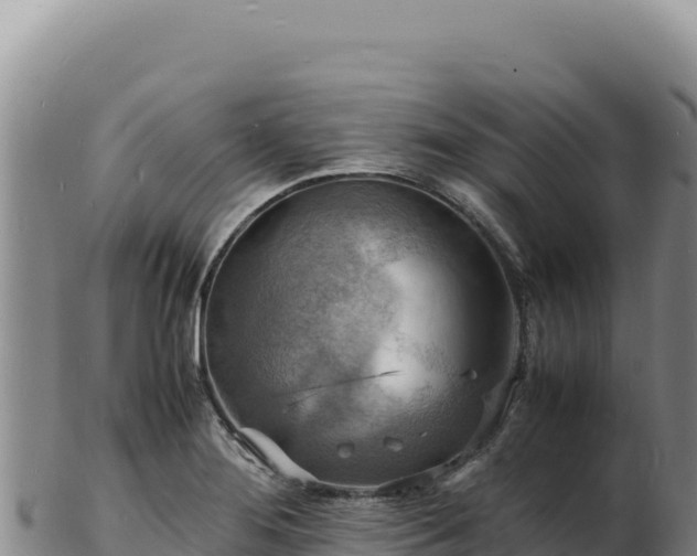X0000103251276200809041101
