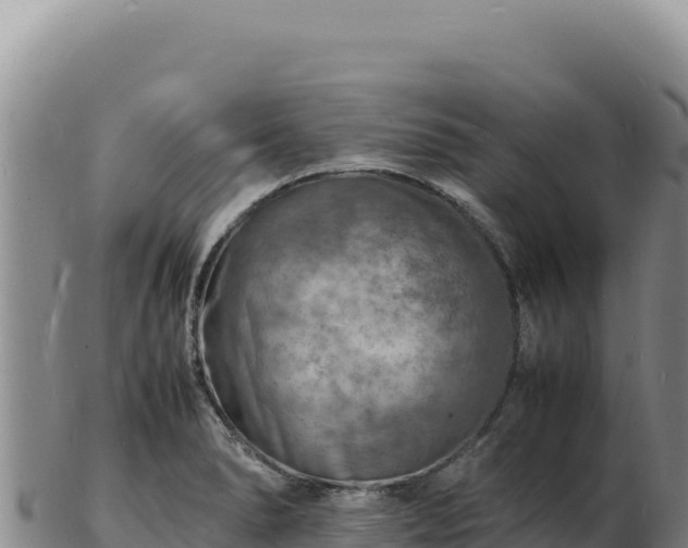 X0000103251278200809041101