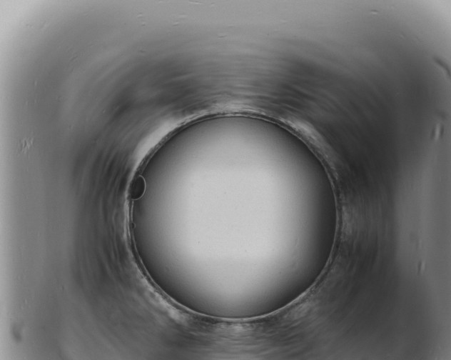 X0000103251286200809041101