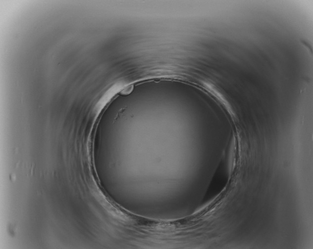 X0000103251291200809041101