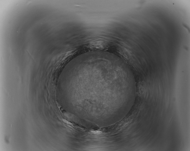 X0000103251297200809041100