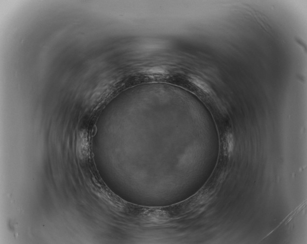 X0000103251298200809041100